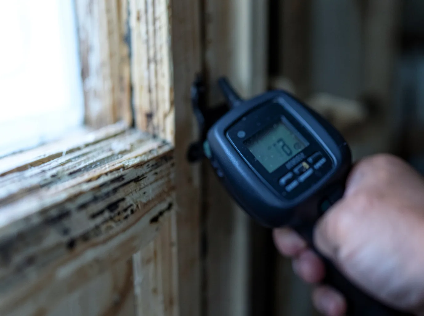 Moisture Inspection And Documentation in Pe Ell, WA